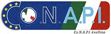 Co.N.A.P.I. Avellino